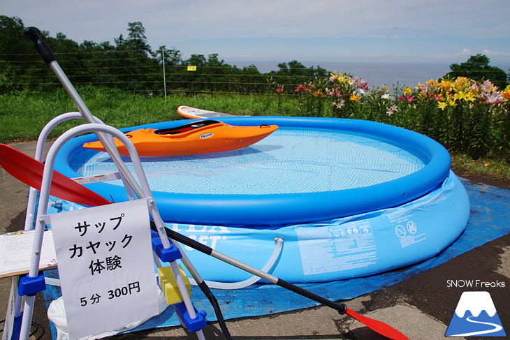 オーンズ春香山ゆり園 今年も綺麗な『ゆり』のシーズン到来♪